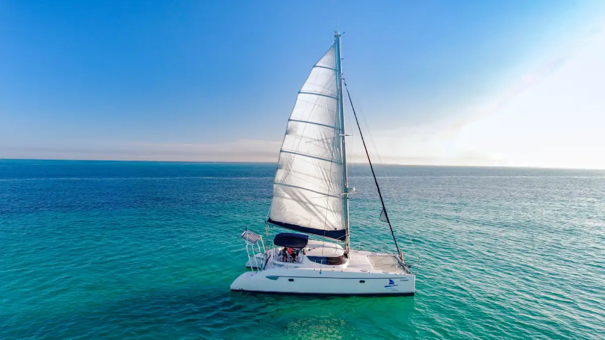 Catamaran Mango