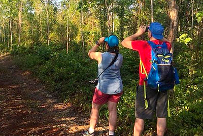 Observación de Aves Tour