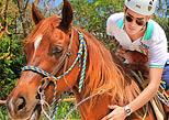 Bonanza Horseback Ride