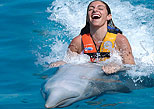 Dolphin Swim Adventure - Cozumel