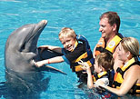 Dolphin Encounter  Tour