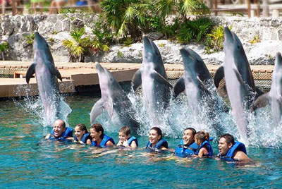 Nado con delfines