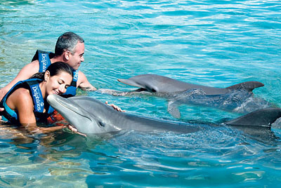 Actividades nado con delfines