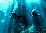 deep into amazing cenotes