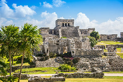 Tulum Express 