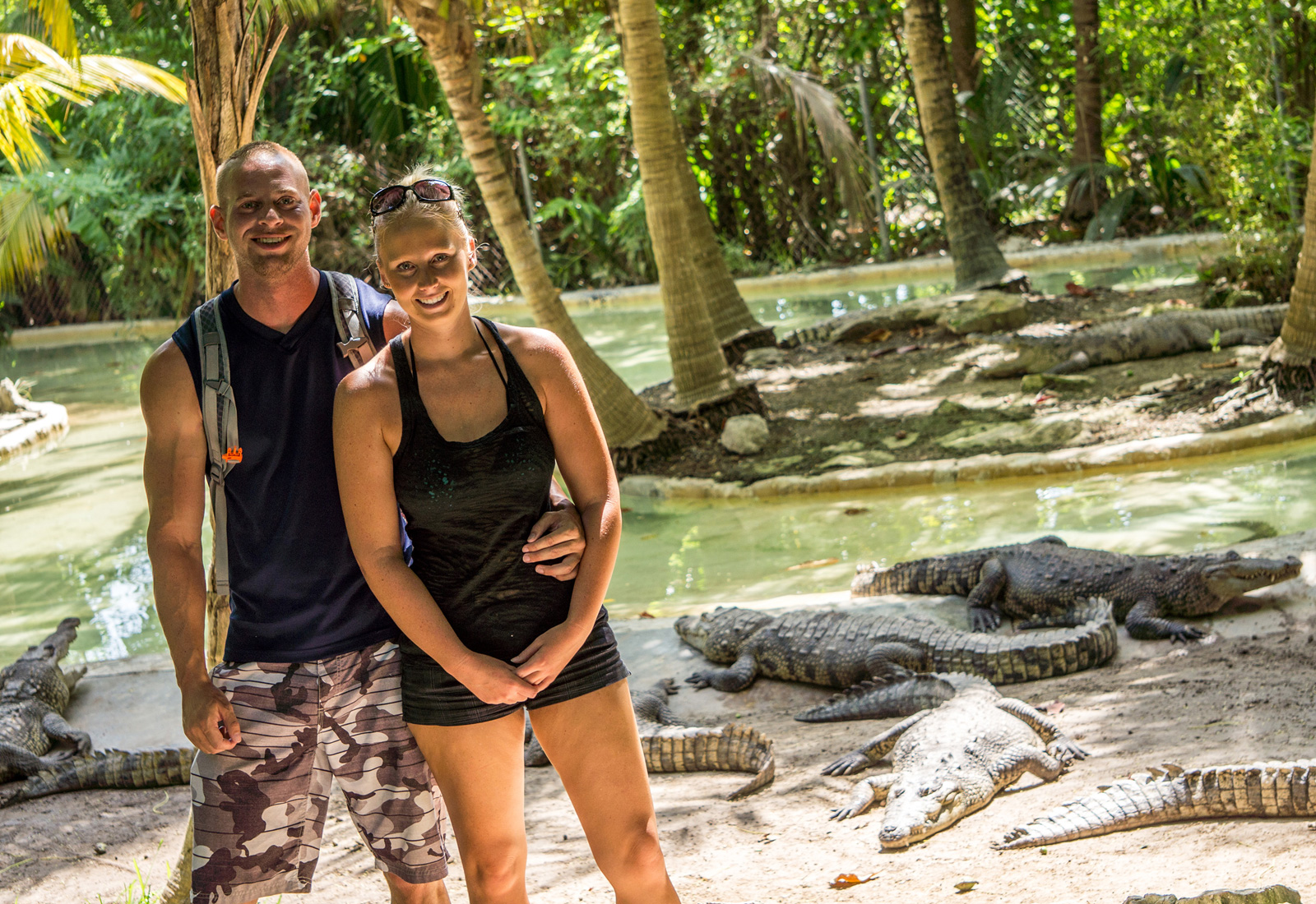 Crocodriles zoo near Cancun