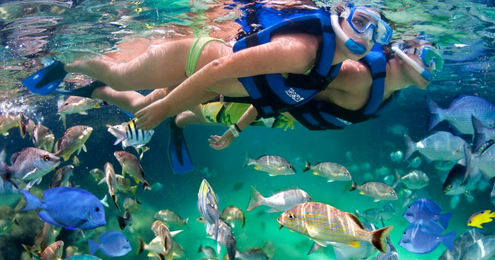 Snorkeling in Cancun