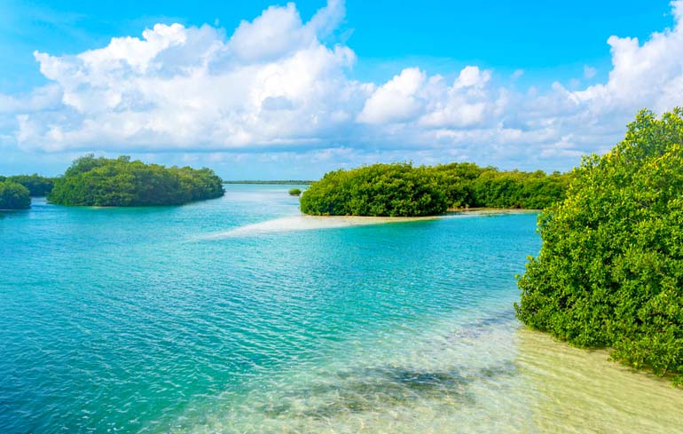 Sian Kaan Reserve on the way to Muyil Ruins