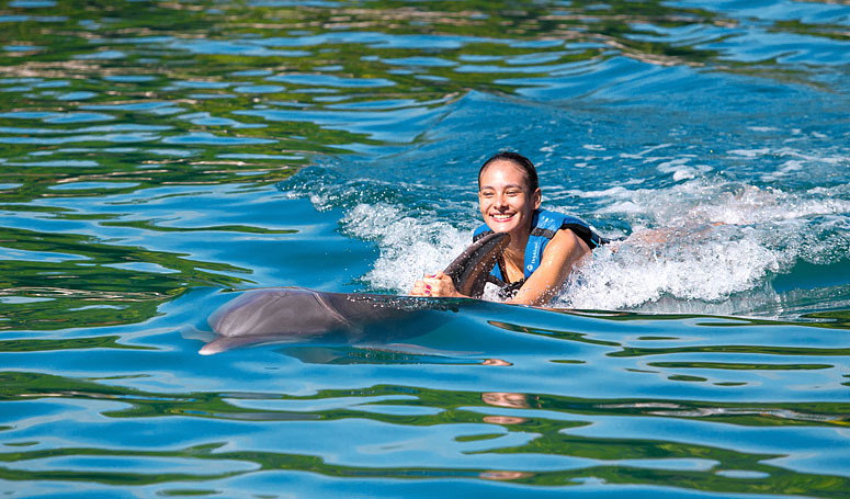 Dolphin Ride Trainer