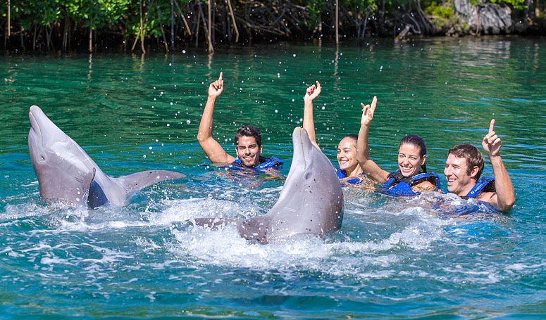 Cantando y bailando con delfines