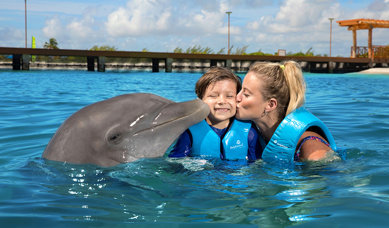 Dolphin Ride Program for  families