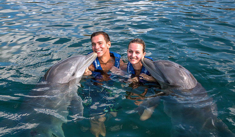 Dolphin kisses