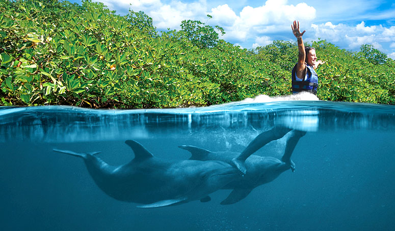 Actividad del Foot Push donde dos delfines te empujan de los pies