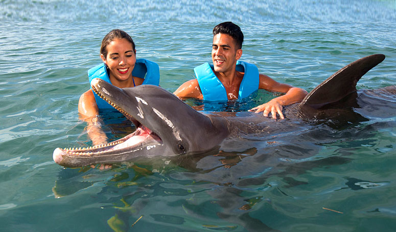 Swim with dolphins for couples