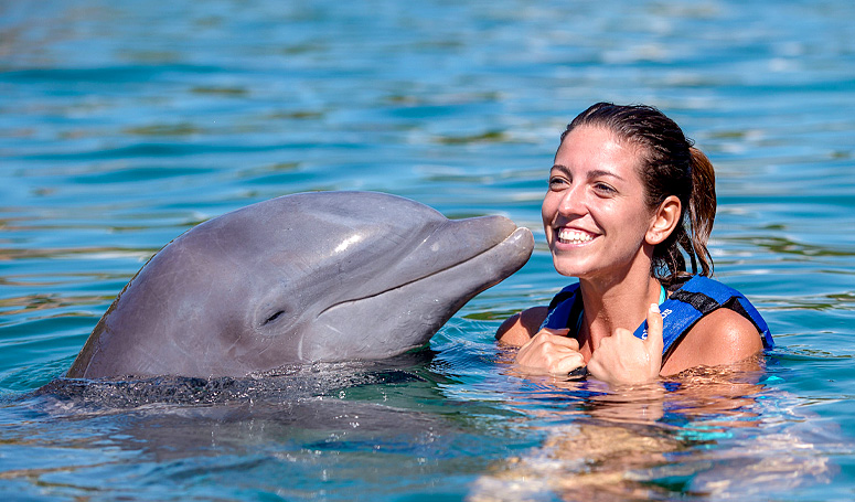 Close encounter with dolphins