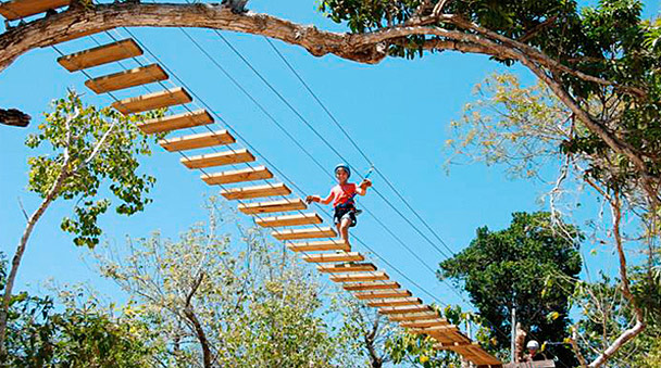 sientete como un pajaro volando por la jungla 