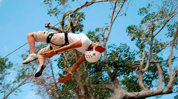 Siente la emocion de volar entre los arboles