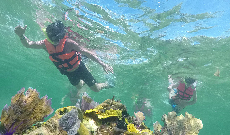 Snorkeiling in ATV Catamaran Tour