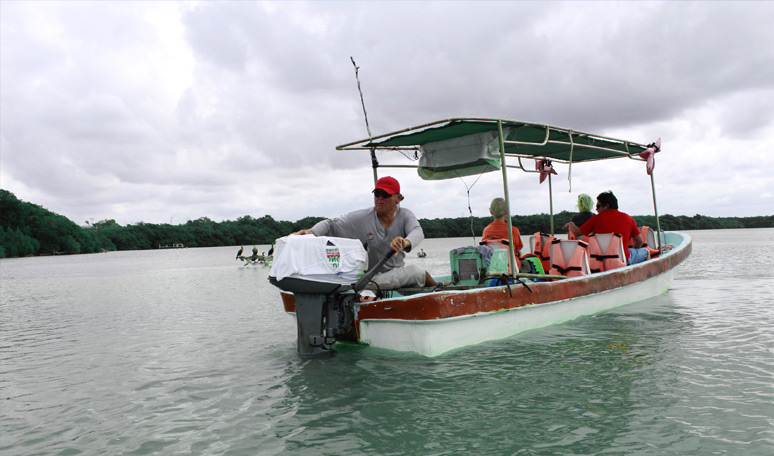 Boat ride at Rio Lagartos