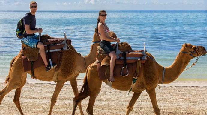 Camel Safari ride in Maroma Cancun