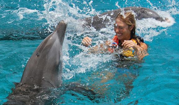 Diviertete en la aventura de nado con delfines en Cozumel