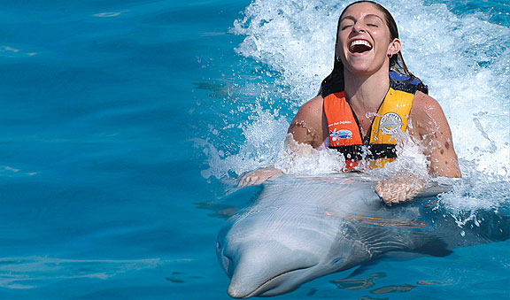 Enterteinment and interation with dolphins