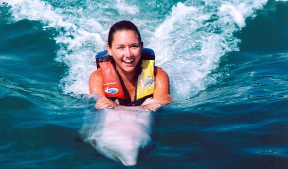 Dolphin Swim Adventure