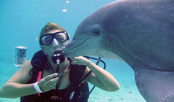 spend a day full of magic diving in Cozumel