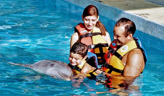 vive este gran encuentro con delfines