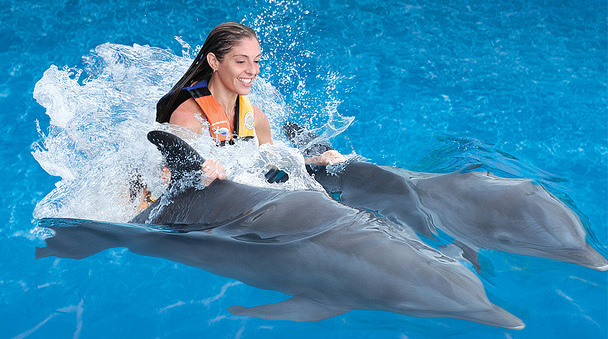 Nada con delfines en el Dorsal Ride 