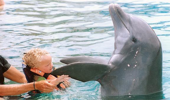 babies dolphin encounter