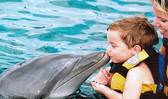 niÃ±os divirtiendose con los delfines