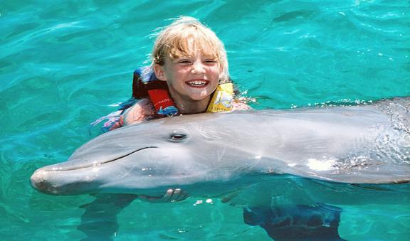 niÃ±os cuidando a los delfines 