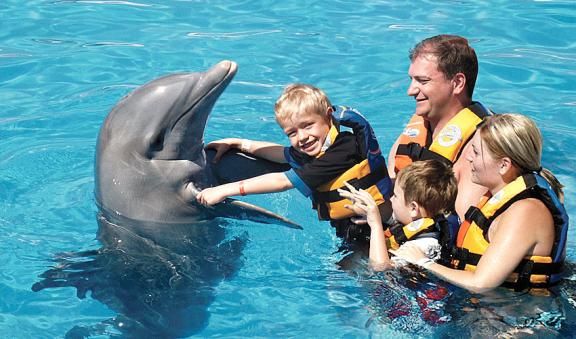 niÃ±os y delfines juntos