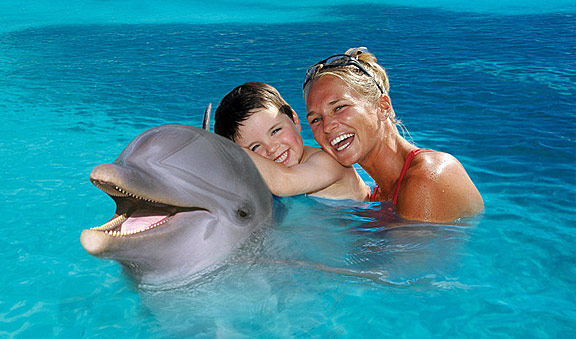 Enjoy swimming with Dolphin in Cancun