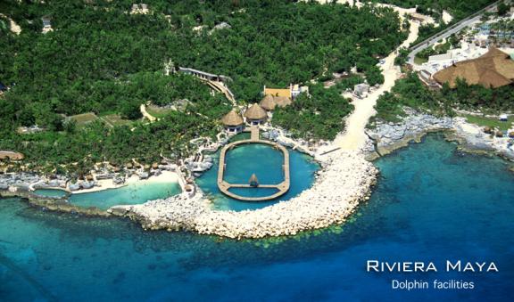 riviera maya dolphin adventure