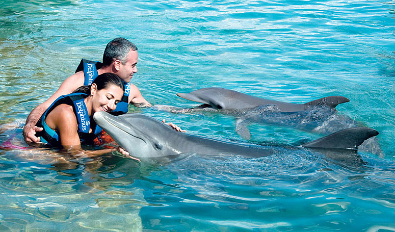 Dolphin Swim adventure