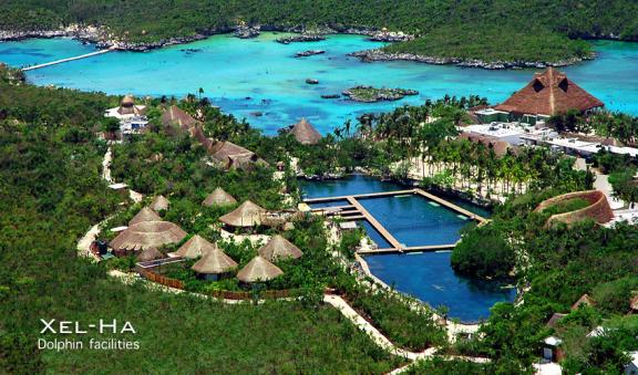 Nada con delfines en Parque Xel Ha