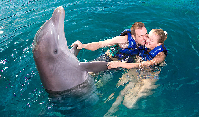 Swim with dolphin with your love one, program for couples