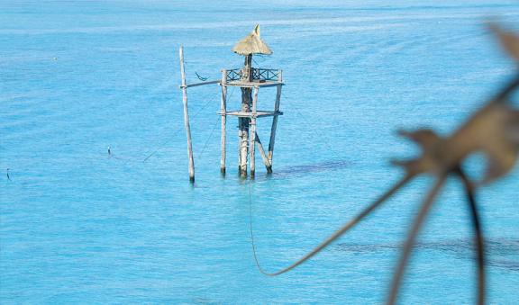 Dare to fly through Caribbean Sea