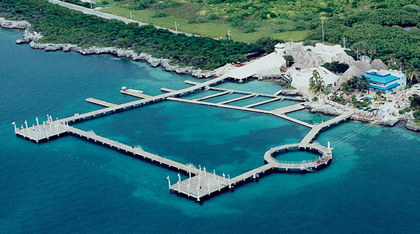 visita el delfinario en Isla Mujeres