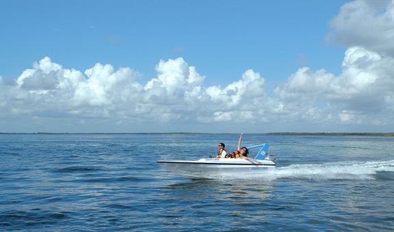 jungle tour in the lagoon