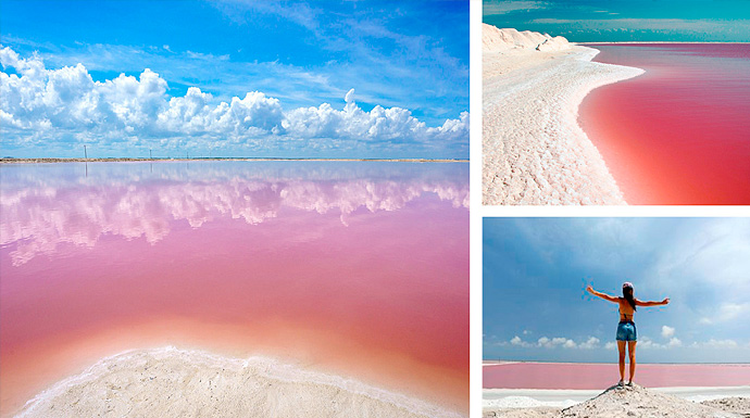 Las Coloradas Yucatan