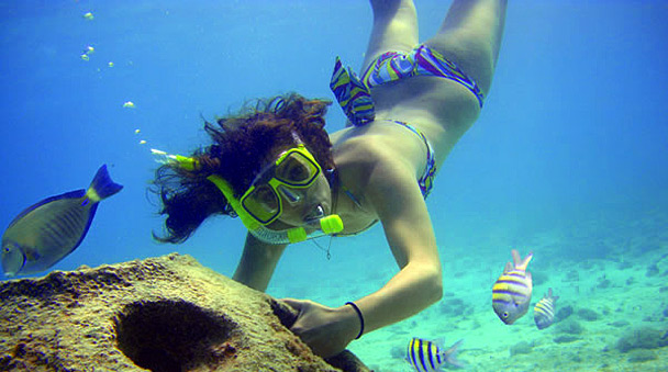 beautiful coralline reefs