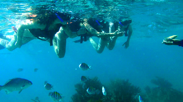 Snokel in the Caribbean Sea