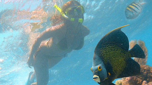 Snorkel in Riviera Maya reef