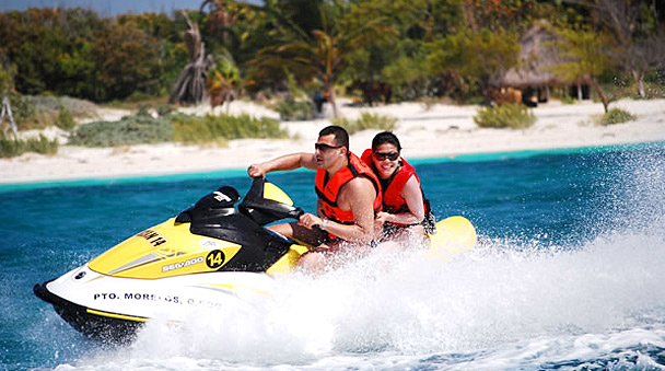 Dear to drive through the mangrove in a waverunner