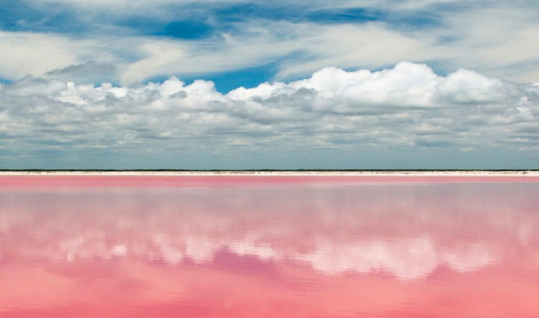 Pink landscapes in Yucatan