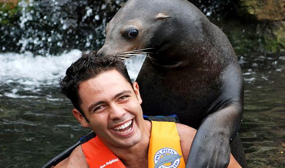 kiss a sealion