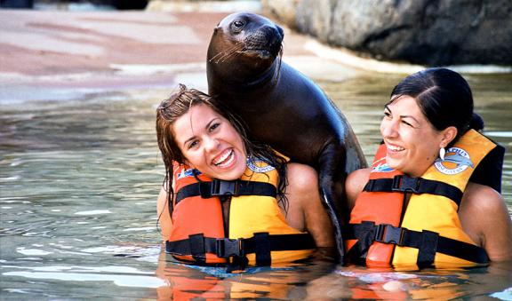 aventura con los leones marinos